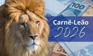 Leia mais sobre o artigo Carnê-Leão 2026: Desvendando as Mudanças para Contadores, Empreendedores e Autônomos no Cenário Digital