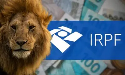 Leia mais sobre o artigo IR 2026: Desvendando o Futuro da Sua Declaração – Restituição ou Imposto a Pagar?