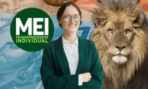 Leia mais sobre o artigo MEI 2026: O Ano da Virada para Empreendedores e a Contabilidade Digital?