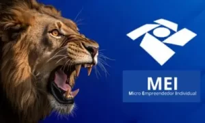 Leia mais sobre o artigo MEI e o Fisco: O Fim da Separação Prática entre seu PIX Pessoal e o Faturamento Empresarial?