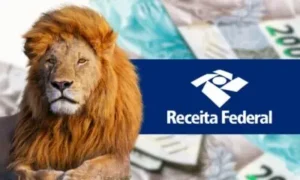 Leia mais sobre o artigo IR 2026: Os Riscos Invisíveis de Não Declarar e Como a Tecnologia Blindará Sua Conformidade