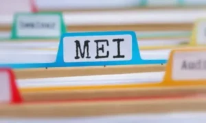 Leia mais sobre o artigo MEI em Nova Era: A Proposta para o Novo Limite de Faturamento e as Oportunidades para o seu Negócio