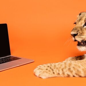 Leia mais sobre o artigo A Inteligência Artificial a Serviço do Fisco: O ChatBot do Leão e o Futuro da sua Declaração de IRPF