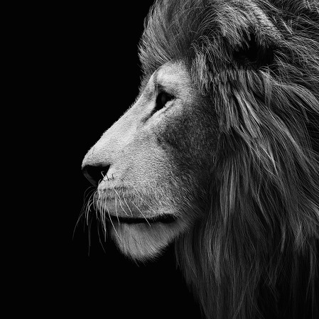 Leia mais sobre o artigo A Receita Federal e a Era Digital do IR 2026: Lives, Contadores Conectados e Como Sua Empresa Pode Liderar a Conformidade