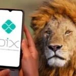 Pix, Tecnologia e o Olhar Atento do Fisco: Como Se Manter em Dia e Longe da Malha Fina