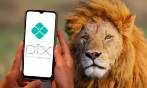 Leia mais sobre o artigo Pix, Tecnologia e o Olhar Atento do Fisco: Como Se Manter em Dia e Longe da Malha Fina