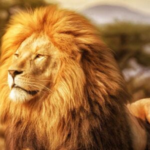 Leia mais sobre o artigo O Leão e a Receita: A História Por Trás do Símbolo do Imposto de Renda no Brasil